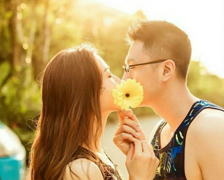 救援达尔马提亚狗